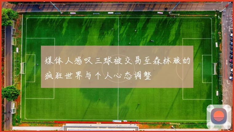 媒体人感叹三球被交易至森林狼的疯狂世界与个人心态调整